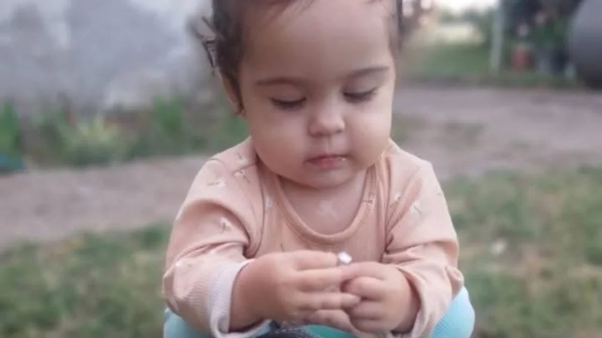 Confirmaron que los restos hallados en Puerto Belgrano son de Delfina Hecker