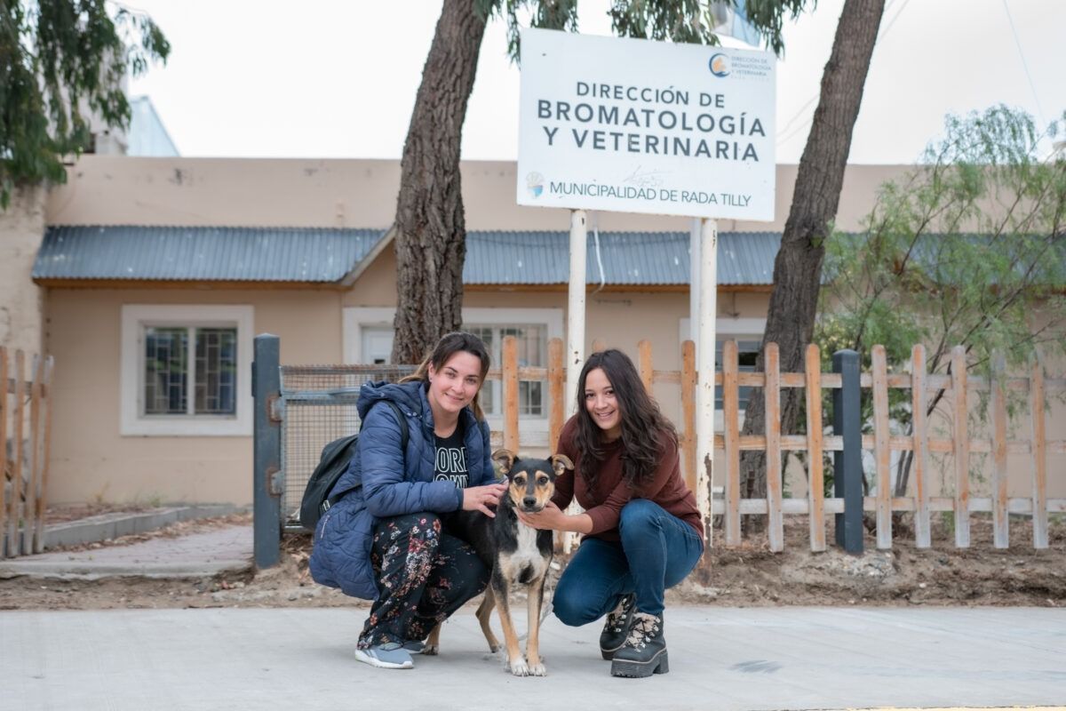 Rada Tilly organiza jornada gratuita de castración este sábado 17 de mayo