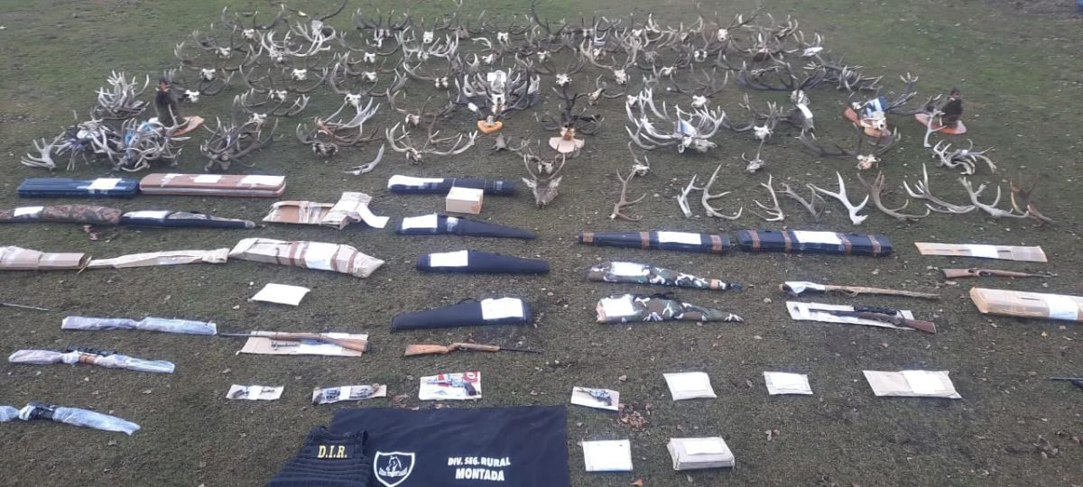 Secuestran armas, carne y trofeos de caza en una red de caza furtiva