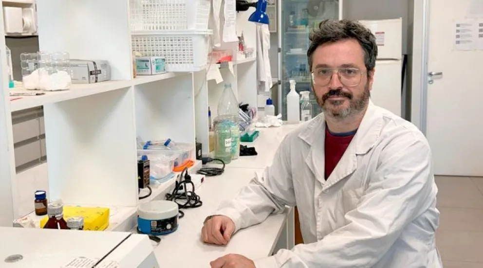 Nuevo rol de una proteína en la eficiencia de la respuesta inmune