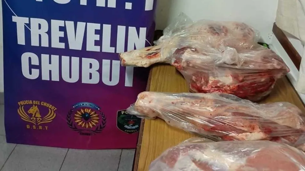 Secuestran carne sin documentación en un control rural 