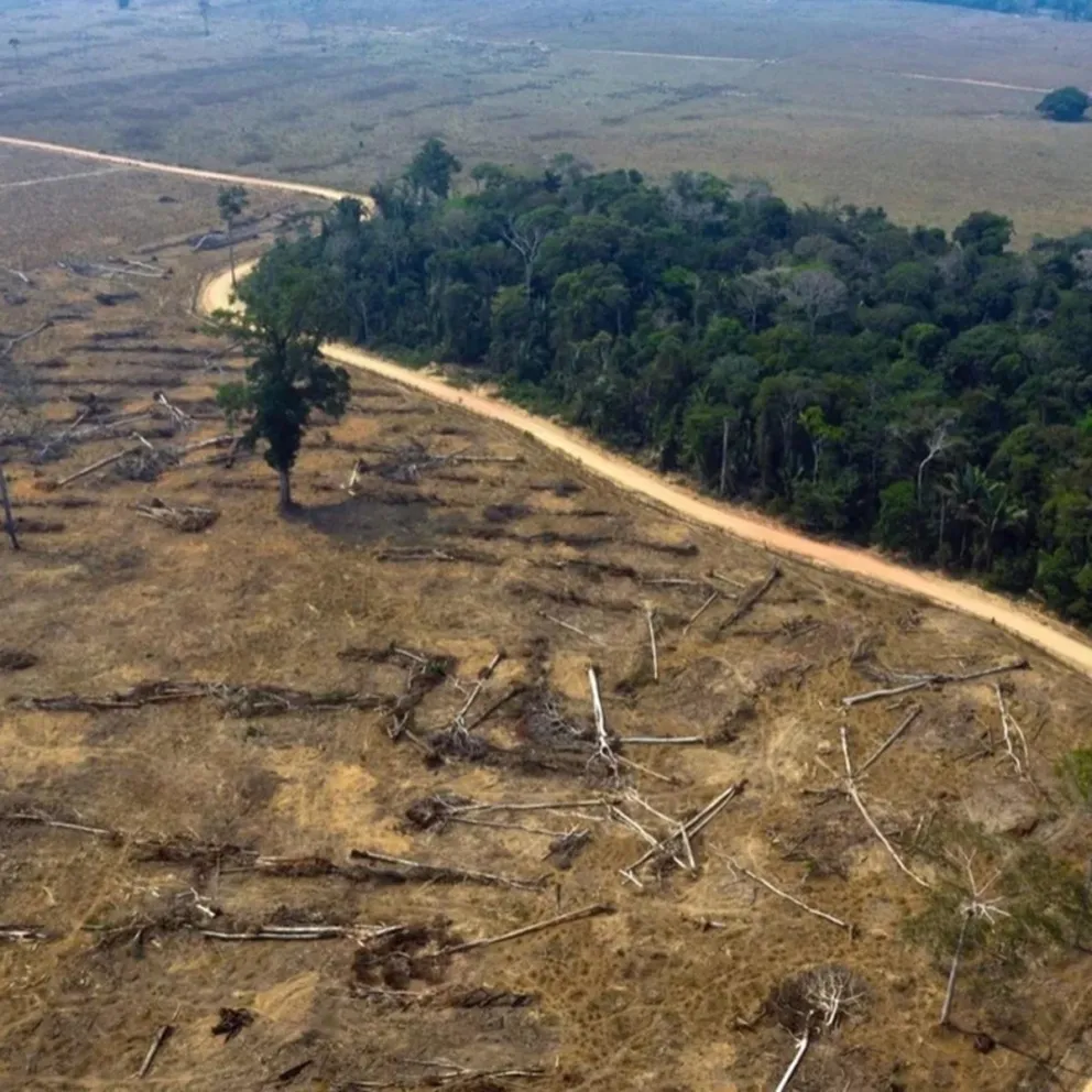 Brasil logró reducir la deforestación, pero crece con fuerza la degradación de la Amazonía