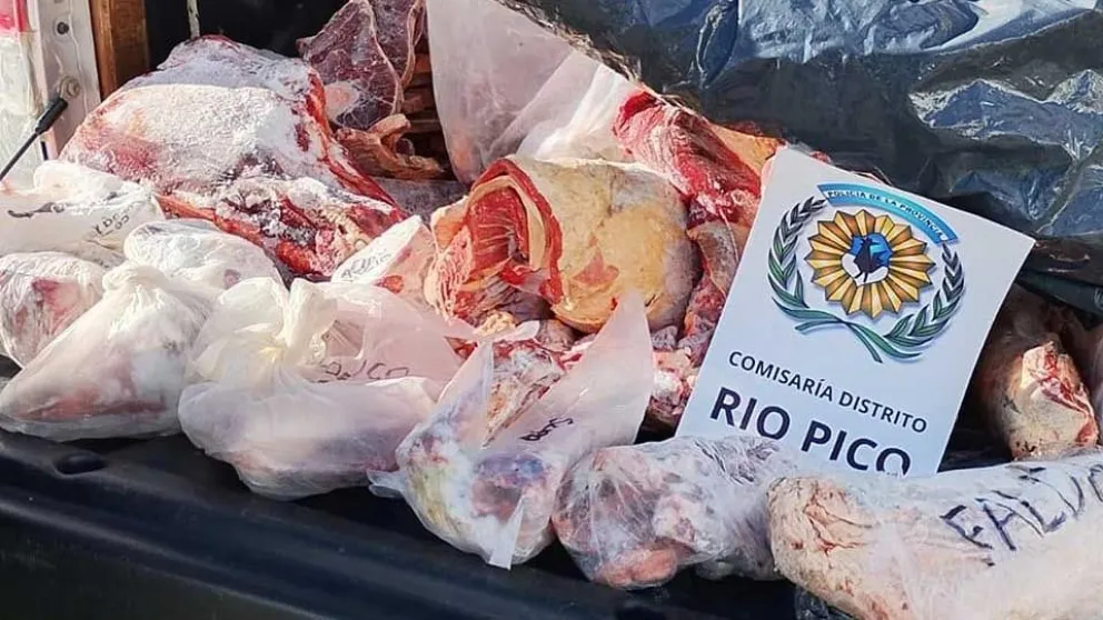 Transportaba carne sin documentación y con restos de sangre en la camioneta