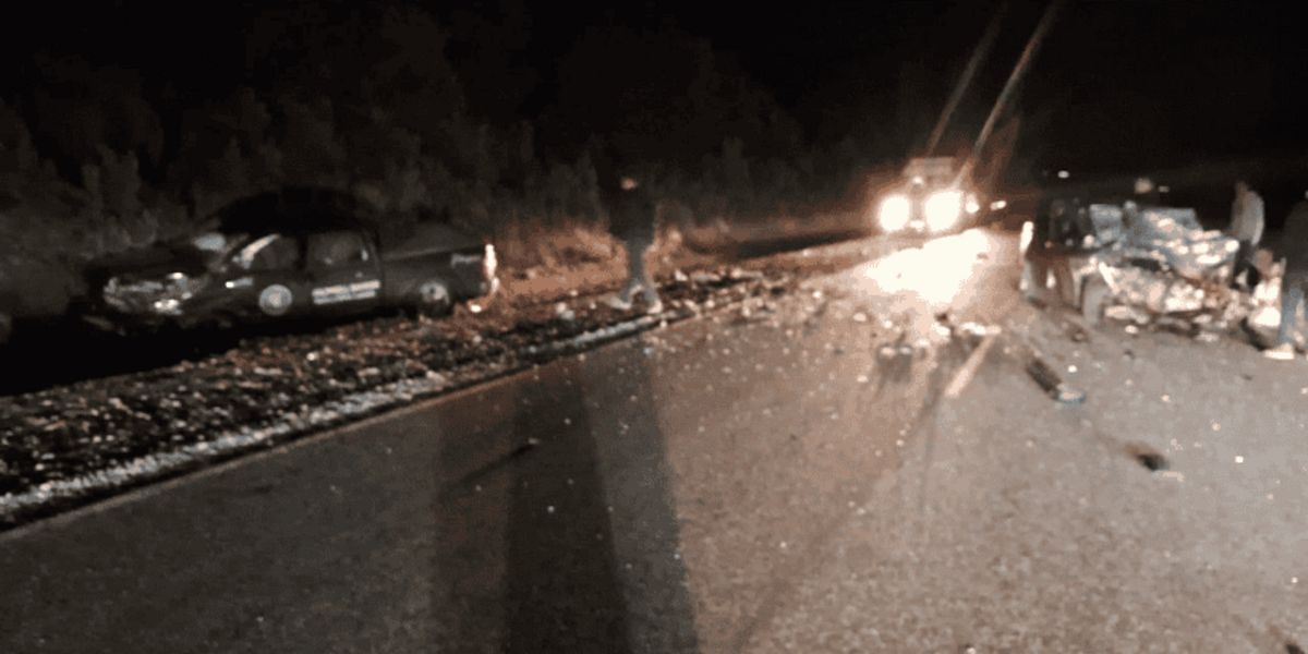 Murieron un padre y su hijo tras un choque frontal camino a Villa La Angostura