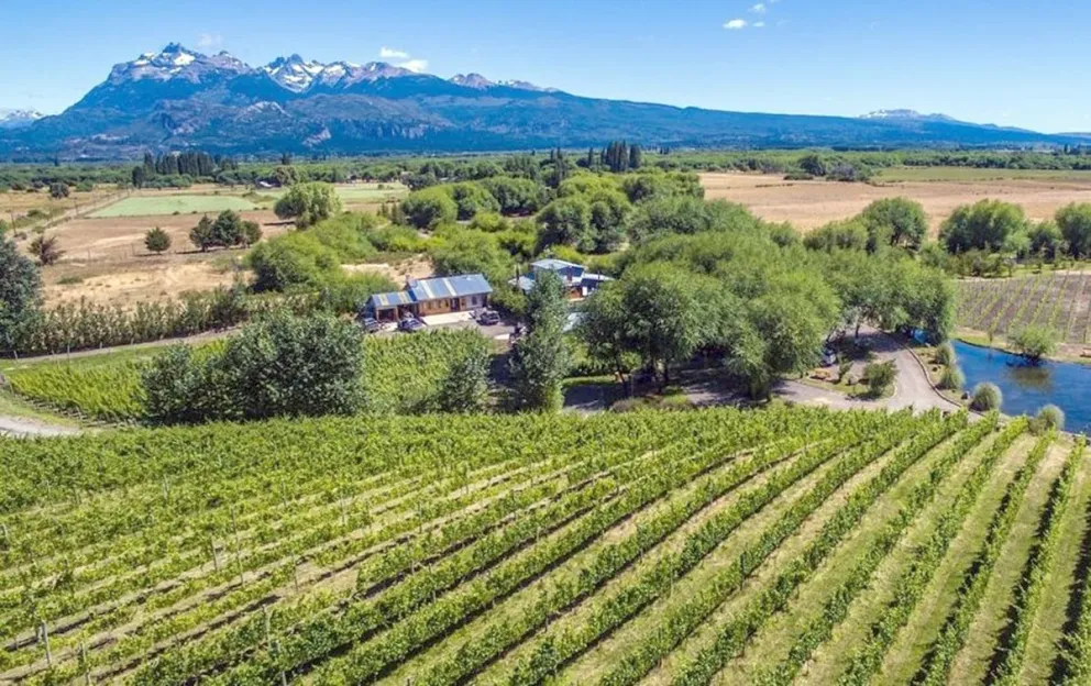 Esquel será parte de la ruta del vino de Chubut