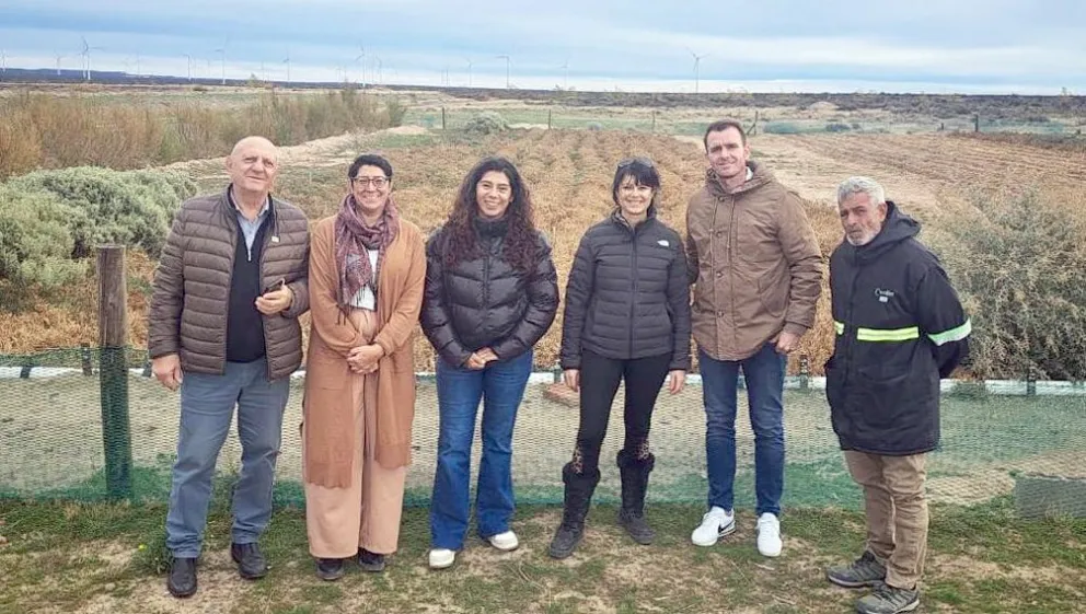 Rawson impulsa el uso de la salicornia para fortalecer el desarrollo productivo local