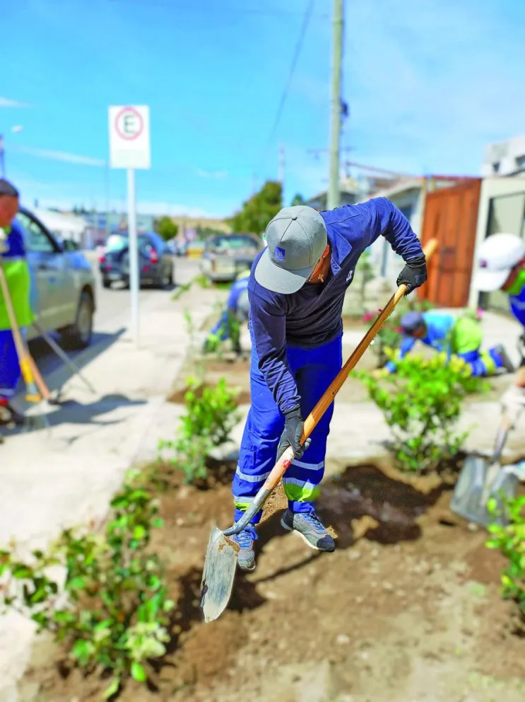 Urbana celebra el día del reciclaje con el sorteo de 3 árboles