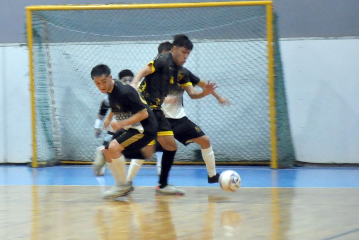 Halcones va por el quinto triunfo seguido