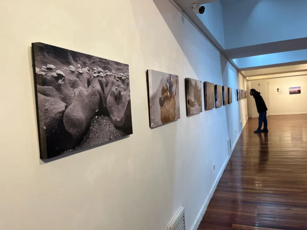 “Viviendo Arte”: una propuesta educativa que acerca las expresiones artísticas para el disfrute y la reflexión