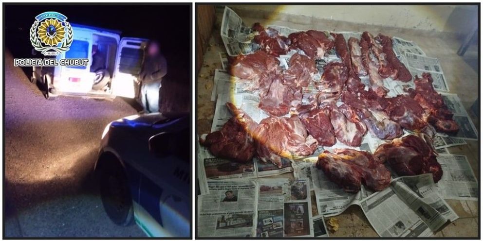 Detienen una Fiorino que transportaba carne de guanaco de forma ilegal