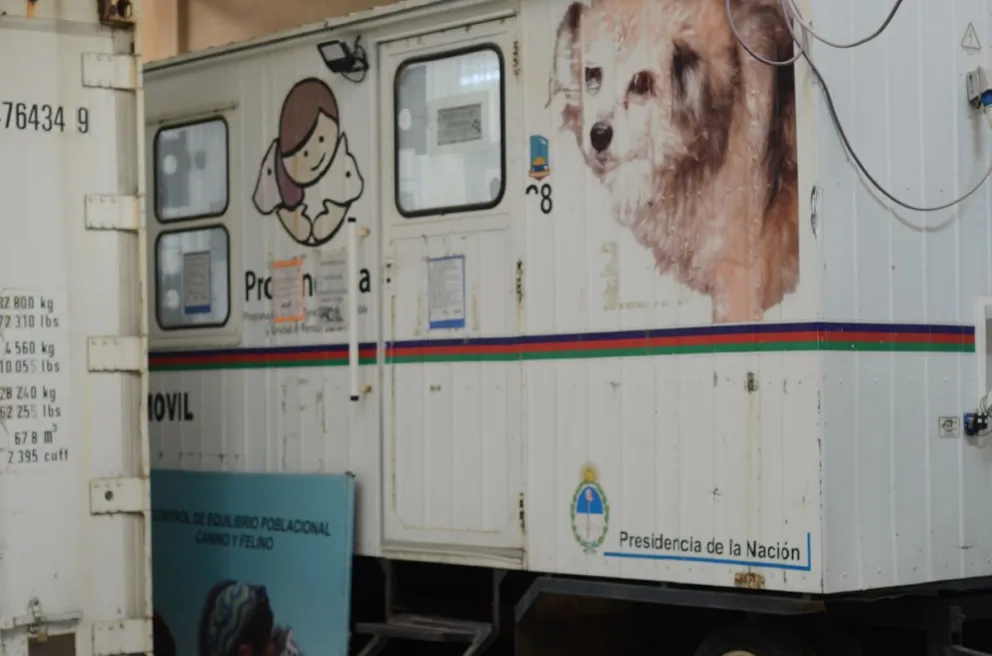 Plantean volver a castrar animales en zona norte y zona sur de manera simultánea