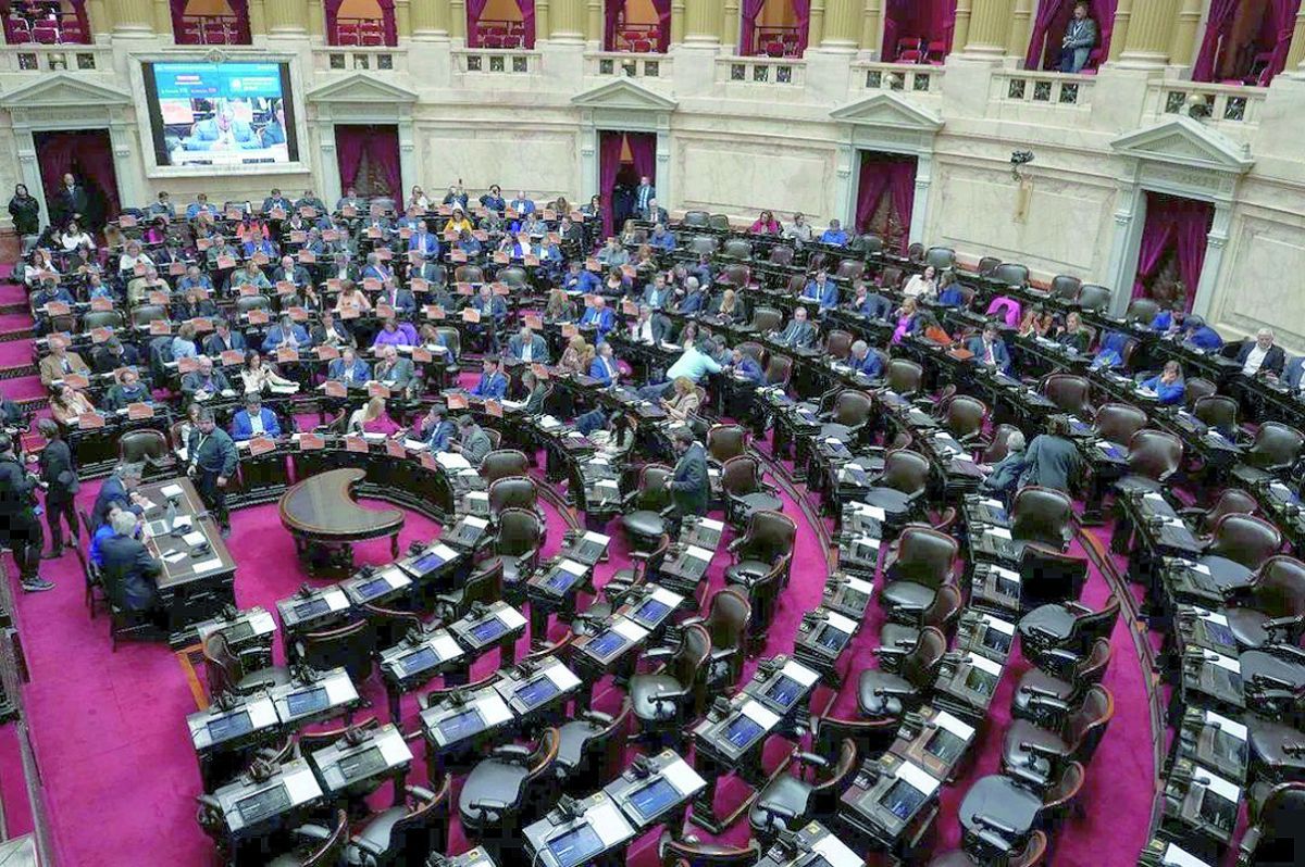 Fracasó la sesión en Diputados para tratar el aumento a jubilados y la criptoestafa Libra