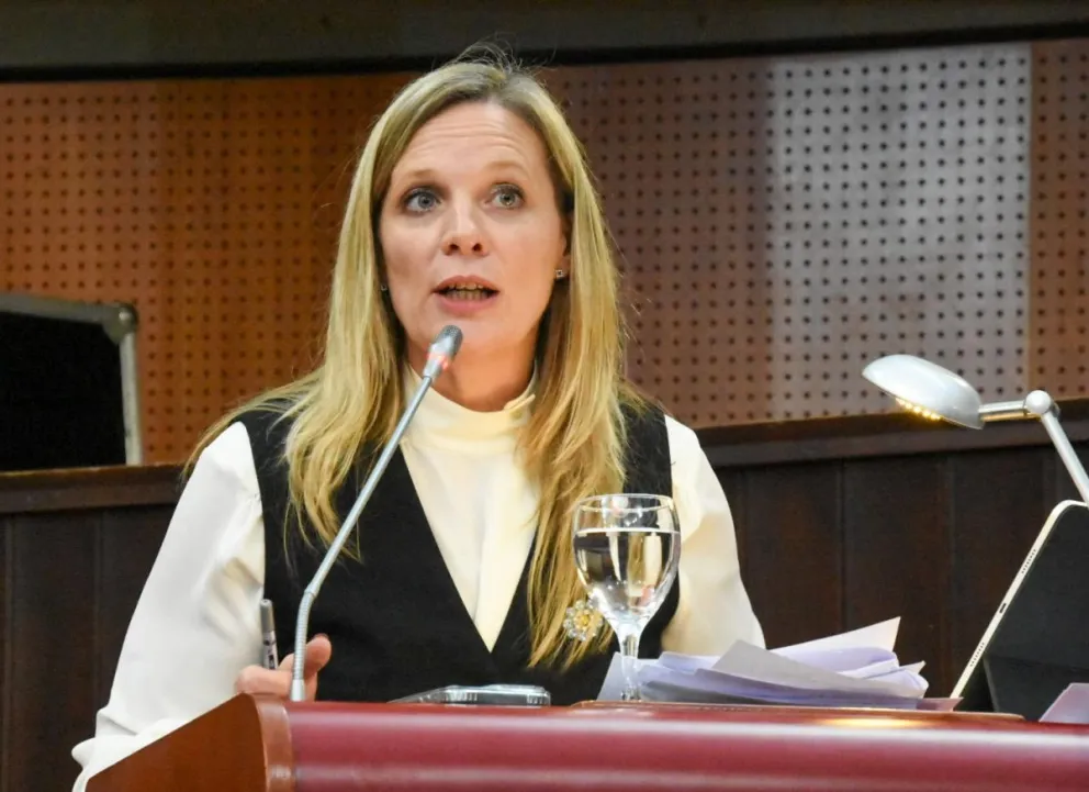 La Legislatura del Chubut repudió la eliminación de los programas de apoyo a víctimas de violencia de género por parte del Gobierno Nacional