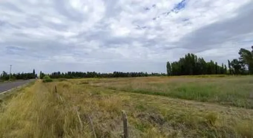 Saquearon una chacra de Rawson: se llevaron hasta las bebidas que había en una heladera