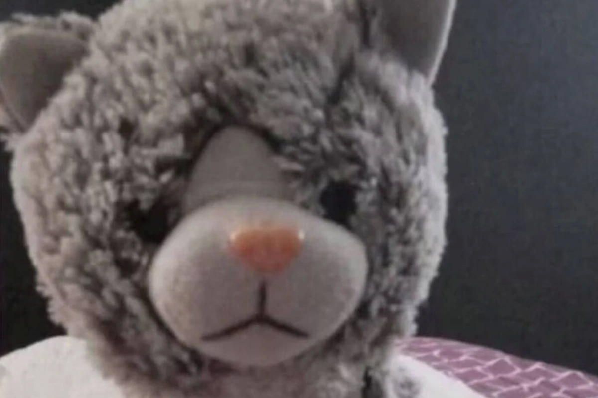 Un niño con autismo perdió su peluche de apego y extorsionaron a su familia: pagaron $200.000 de rescate