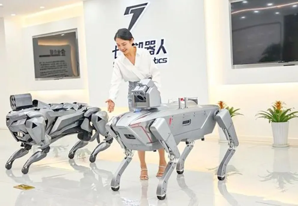 Una empleada presenta en robots cuadrúpedos a prueba de explosiones en Sevnce Robotics, municipalidad de Chongqing, China. Fotografía: Agencia Xinhua.
