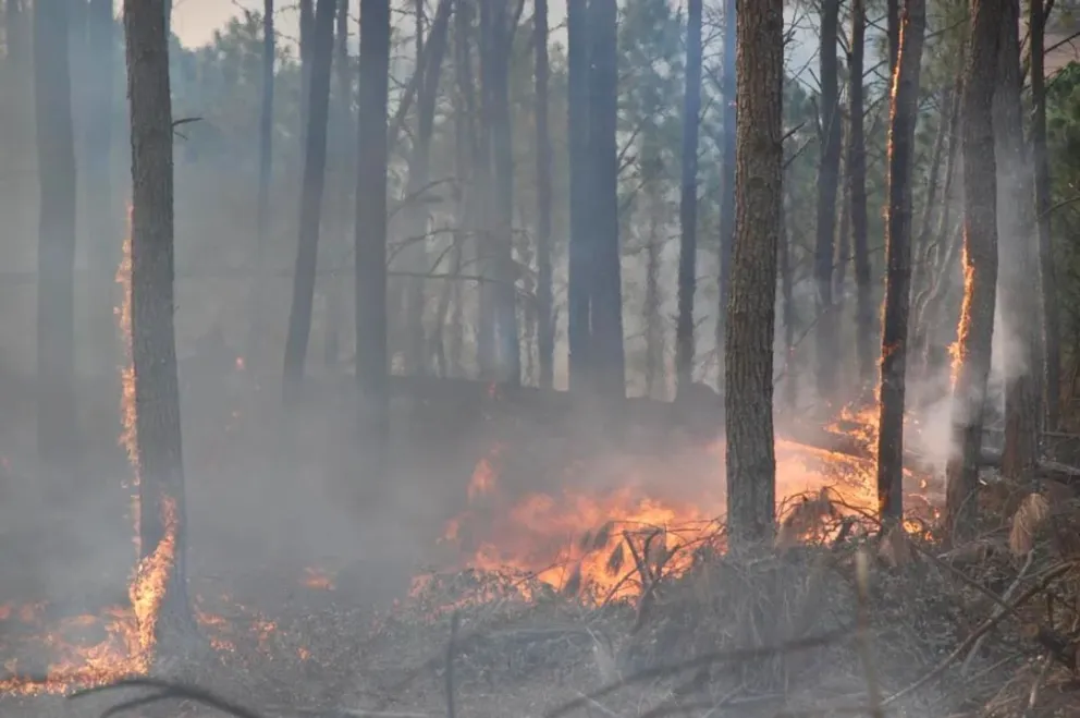 Prohíben hacer fuego en tierras públicas de Córdoba ante el riesgo de incendios