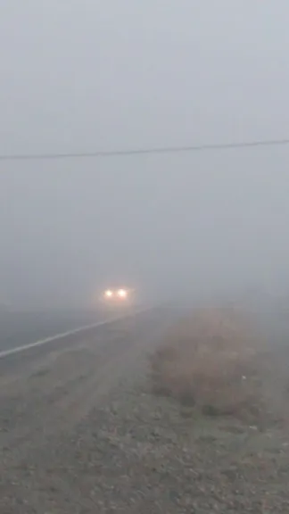 Bancos de niebla en Ruta 40: alertan por baja visibilidad y riesgos al ...