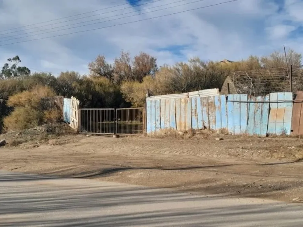 // Foto: Tamara Moreno - La Opinión Austral