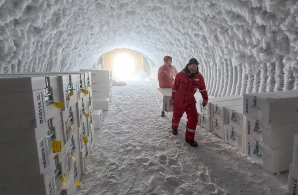 Las muestras se almacenaron en una cueva de hielo en la Antártica antes de ser transportadas en un barco con destino a Europa.
