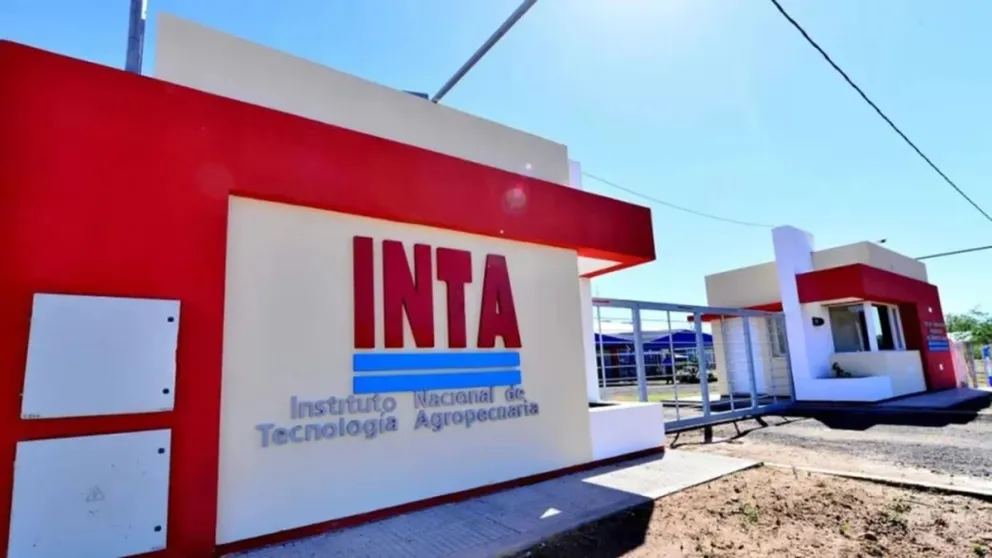 INTA Comodoro: advierten por cierre de programas y falta de recursos