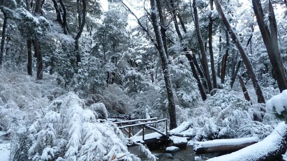 Caminos y senderos de montaña estarán afectados por el temporal.