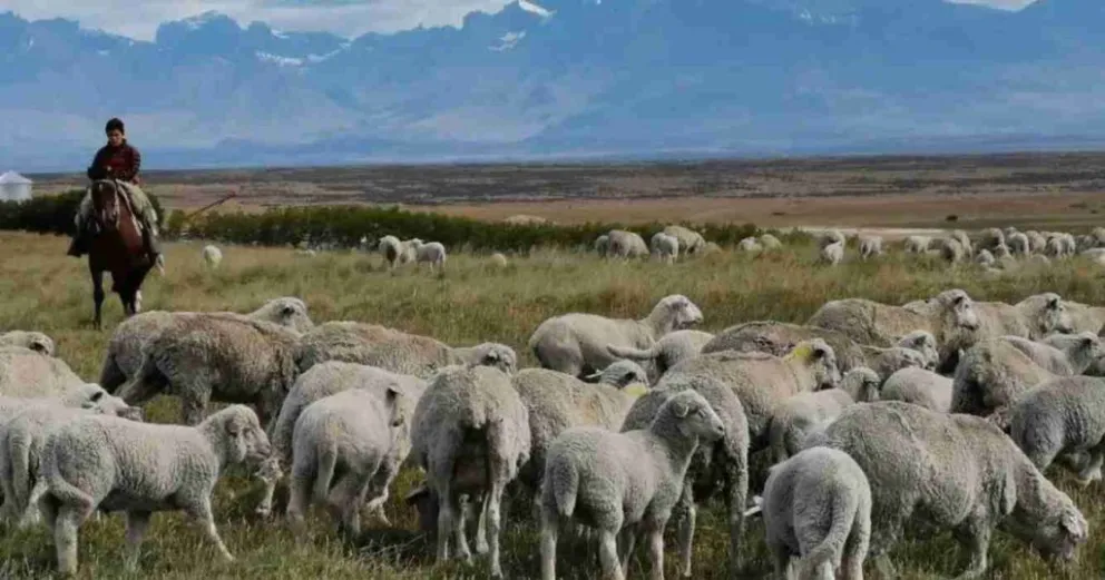 Osvaldo Luján, presidente de la Federación de Sociedades Rurales de Chubut, dialogó con Crónica en Buenos Aires.