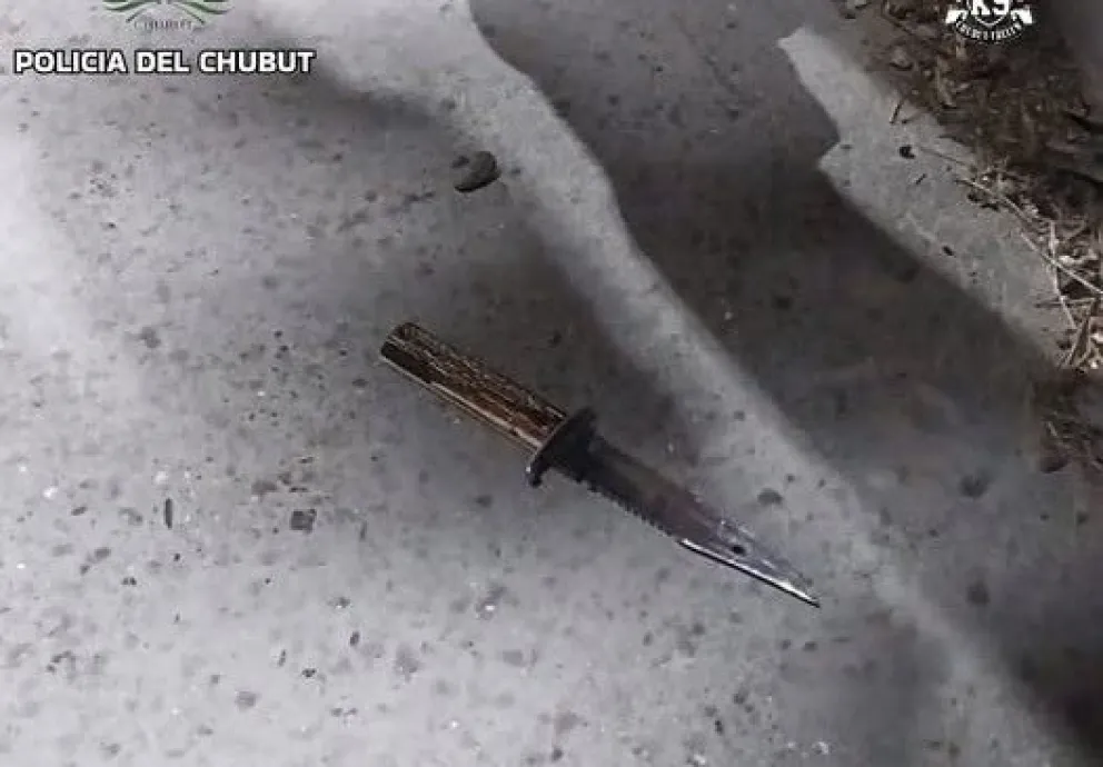 El arma blanca fue secuestrada por Policía Científica.