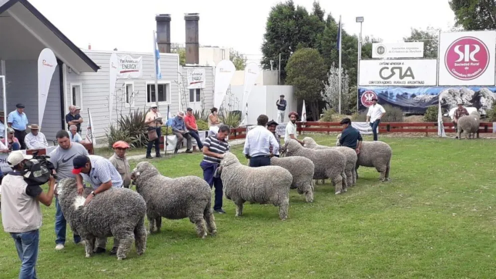 Sociedad Rural de Comodoro Rivadavia: fechas confirmadas para la Expo Ganadera 2026, un evento que une al campo y la ciudad.