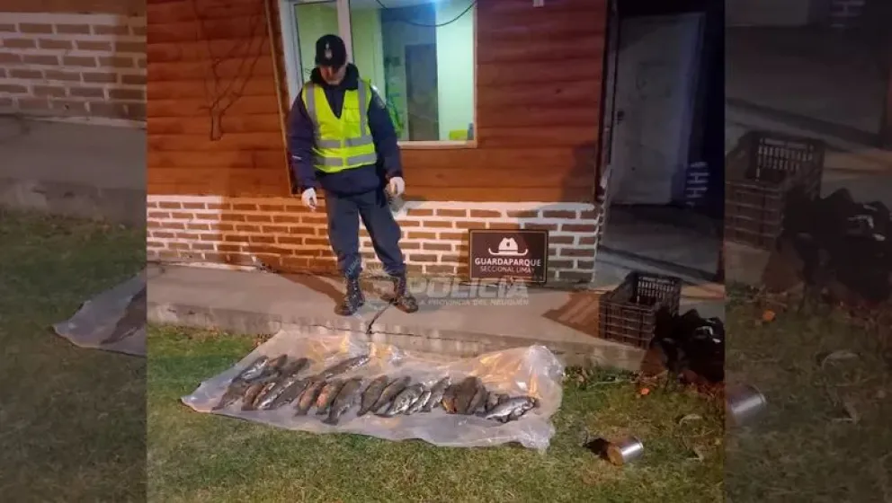 Detienen a pescadores furtivos y secuestran 24 truchas