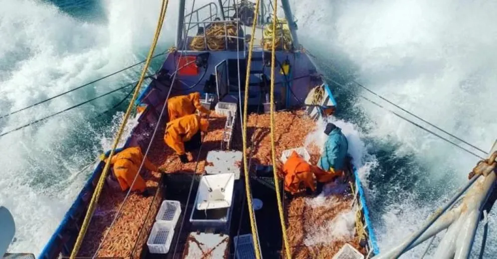 La industria busca recuperar competitividad frente a mercados internacionales.