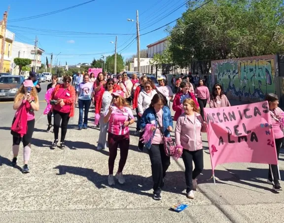 Se realizó la 3º edición de la Caminata Rosa en barrio José Fuchs
