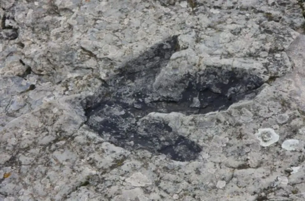 Crédito:  (adolfo-atm - X)