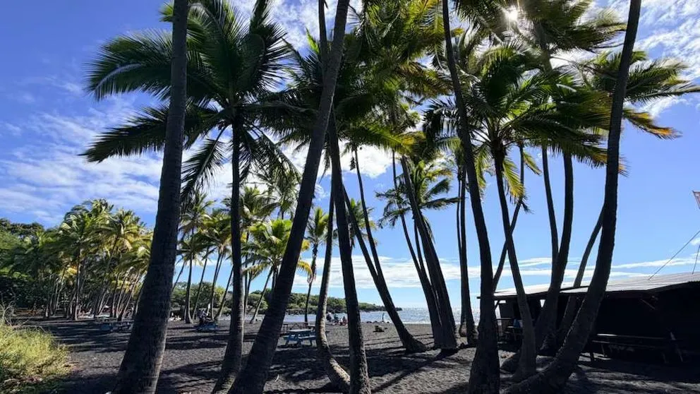 Una de las playas volcánicas más impactantes de la Isla Grande, donde la arena oscura y el Pacífico crean un paisaje único en Estados Unidos (Foto: Opy Morales).