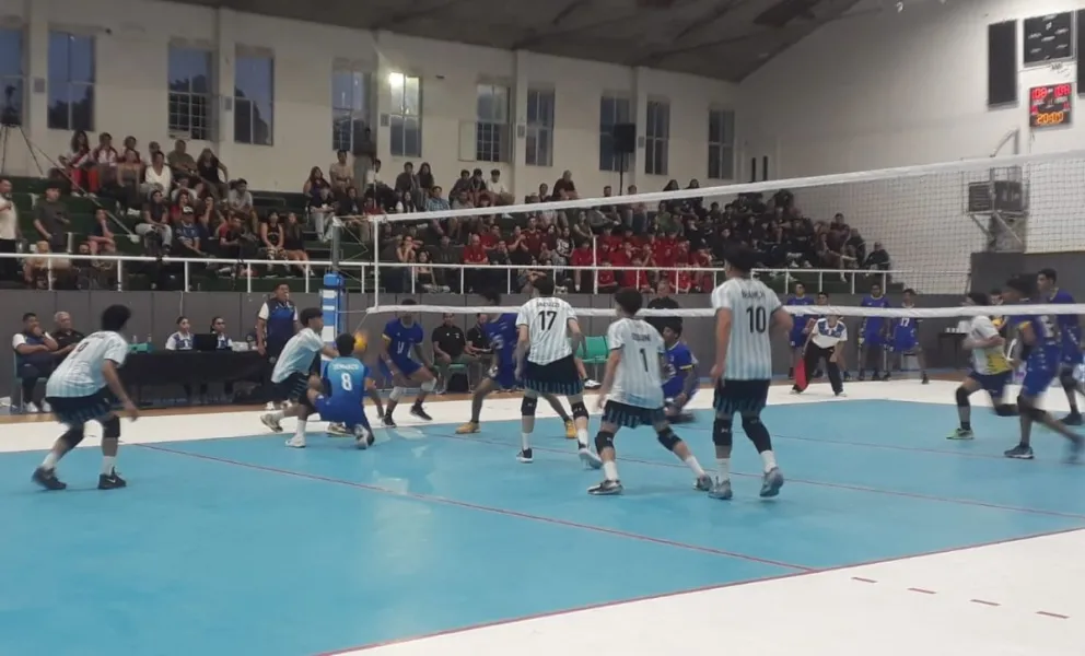  Foto: José Guerreiro.