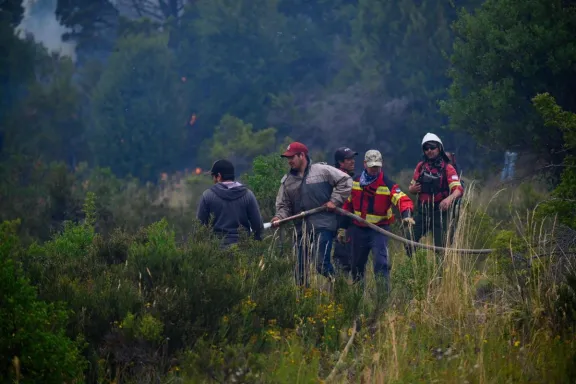 Por qué se conmemora hoy el Día Mundial de la Prevención de Incendios Forestales