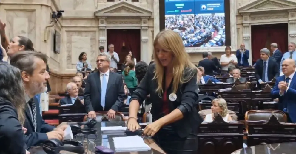 Escándalo en Diputados: La legisladora Florencia Carignano desenchufó los equipos para frenar la sesión y hubo fuertes cruces