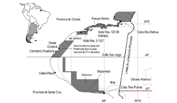 Sindicatos de Puerto Deseado respaldan al intendente por gestiones sobre la veda del Golfo