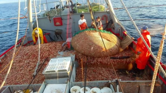 El Concejo Deliberante de Puerto Deseado presentó un pedido de informes por el uso del cupo de langostino