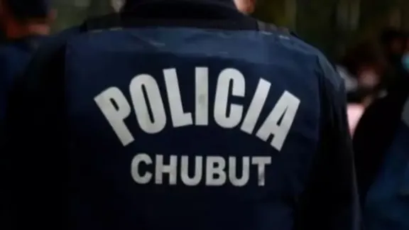 El Ministerio de Seguridad despidió a dos policías por “ineptitud”