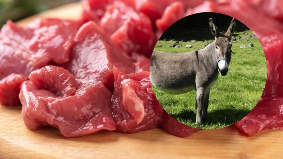 Carne de burro en Chubut // Imagen ilustrativa