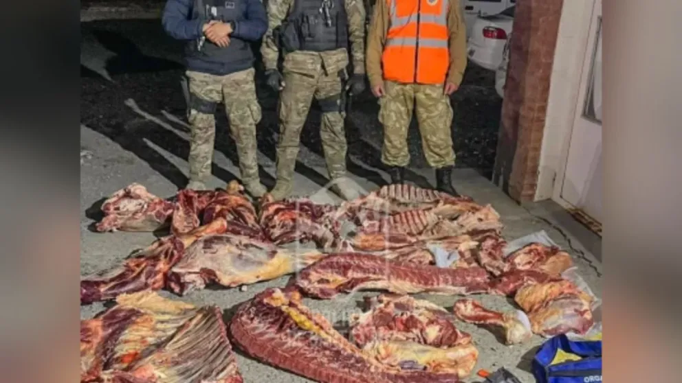 El conductor detenido no pudo acreditar la procedencia de la carne. / Fotografía de cortesía Policía de Santa Cruz 