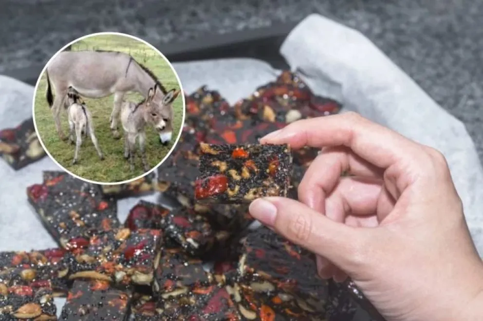 Ejiao, medicina tradicional de China que se hace con la piel de burro.