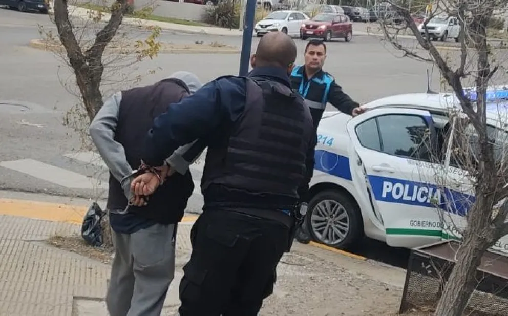En menos de seis horas detuvieron a otro ladrón en barrio Roca