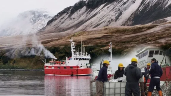 La pesca de calamar en Malvinas genera pedidas millonarias para Argentina y financia la ocupación