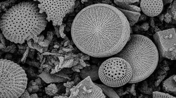 Equipo del CONICET diseña un sistema hogareño para la eliminación de micro y nanoplásticos en el agua potable