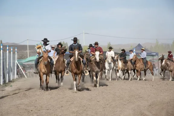 Cultura lanza por primera vez el Registro Provincial de Jinetes