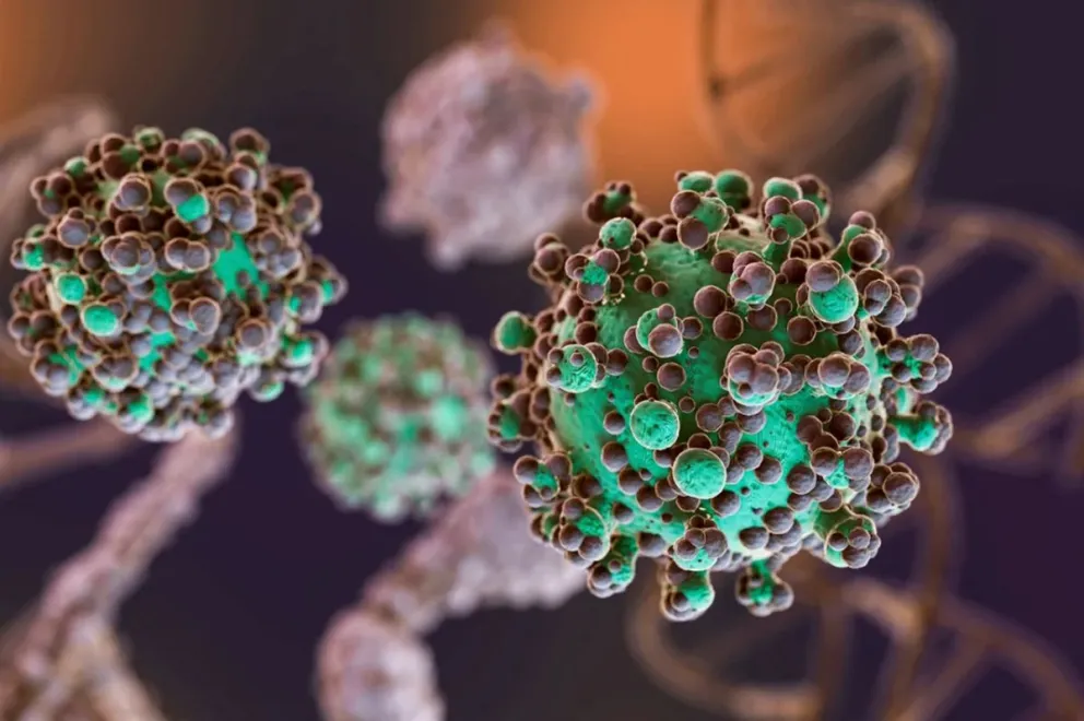 El hantavirus puso en alerta a varias jurisdicciones. 