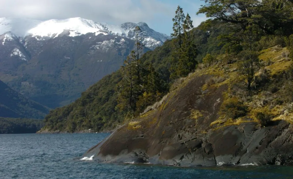 Ley de Bosques: Chubut abrió la convocatoria para presentación de proyectos que requieran financiamiento