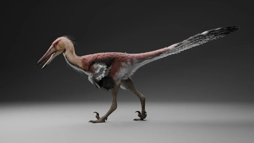 Reconstrucción: Gabriel Díaz Yantén